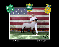 Aday, Eli