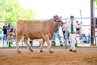 15-_DSC4603
