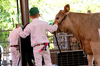 26-_DSC4646
